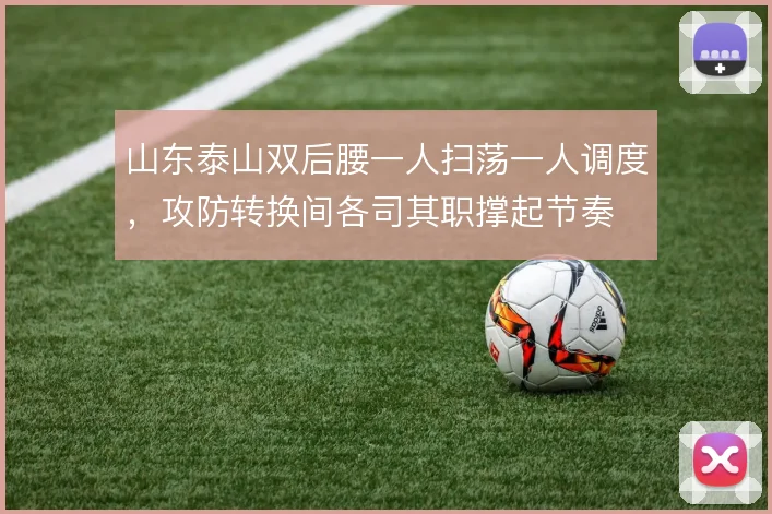 山东泰山双后腰一人扫荡一人调度，攻防转换间各司其职撑起节奏