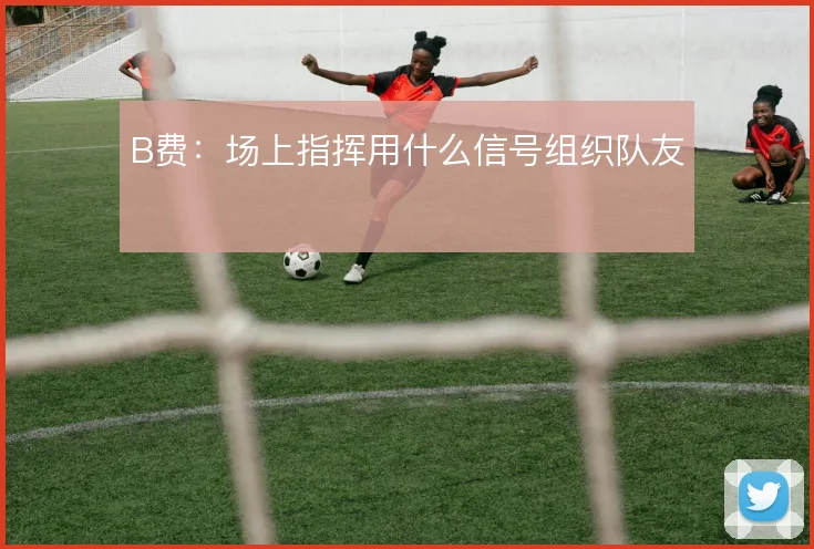 B费:场上指挥用什么信号组织队友